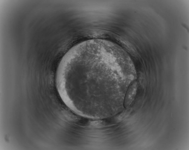 X0000091350461200708311519