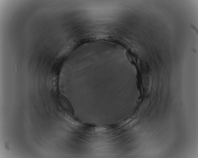 X0000091350462200708311519