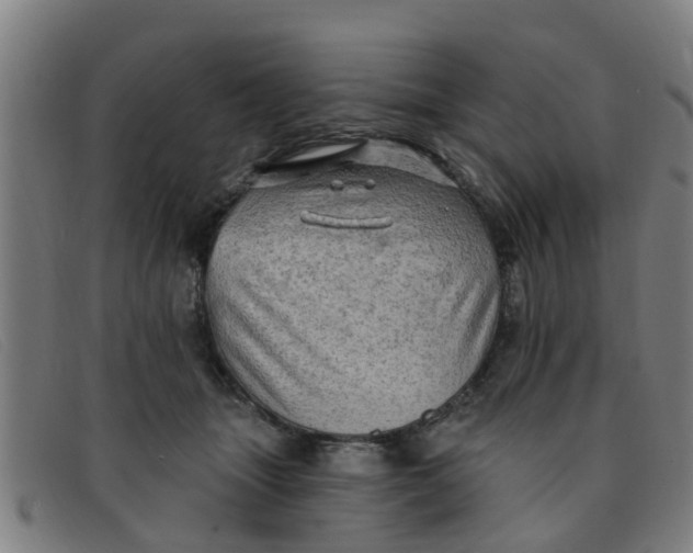 X0000091350463200708311519