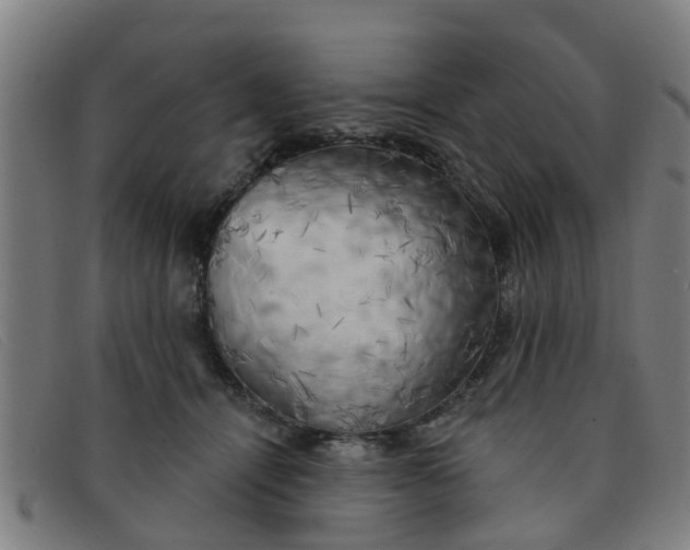 X0000091350464200708311519
