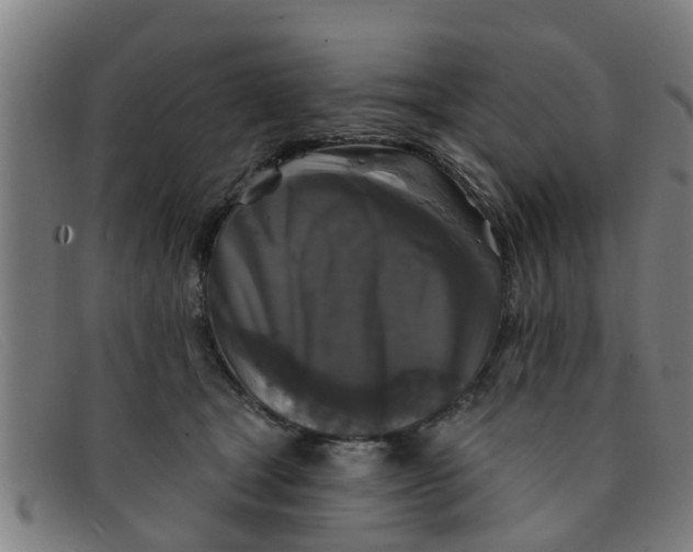 X0000091350465200708311519