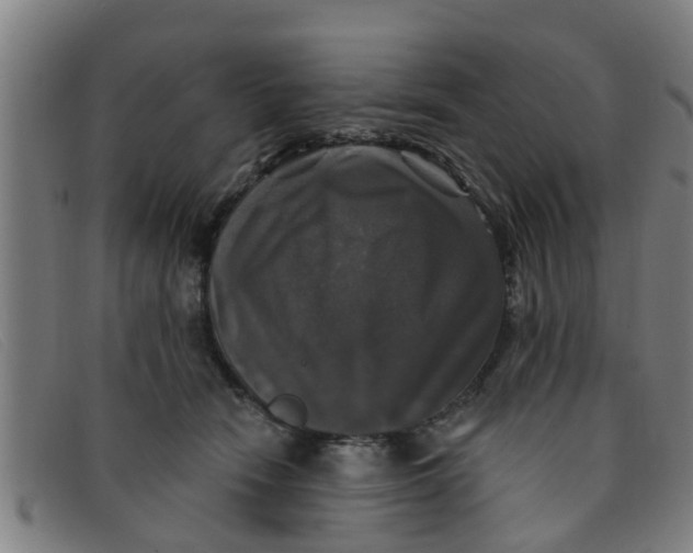 X0000091350466200708311520