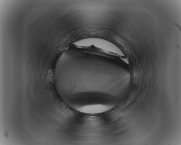 X0000091350467200708311520