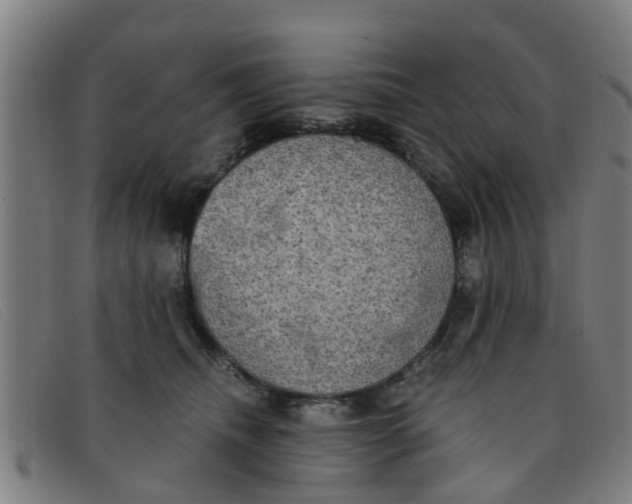 X0000091350468200708311520