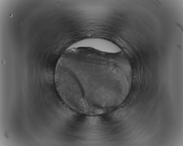 X0000091350469200708311520