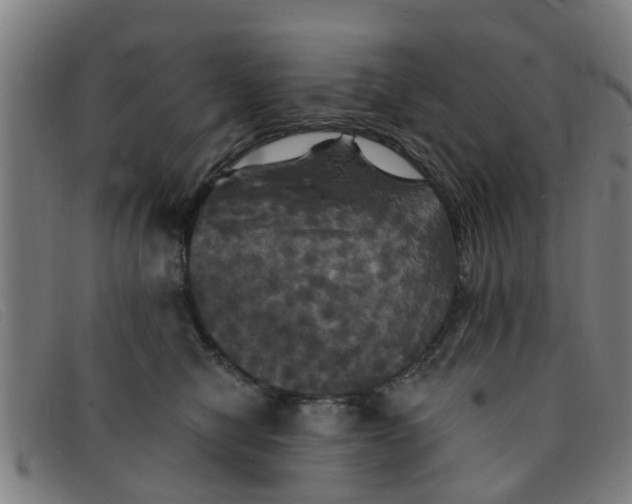 X0000091350470200708311520