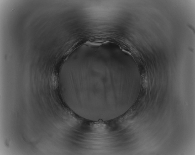 X0000091350471200708311520