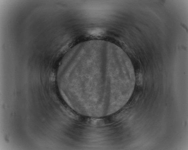 X0000091350472200708311520