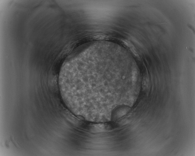 X0000091350473200708311520