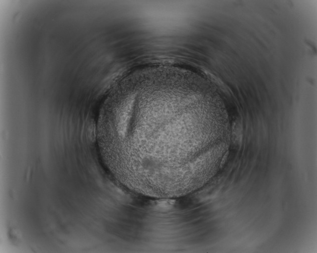 X0000091350474200708311520