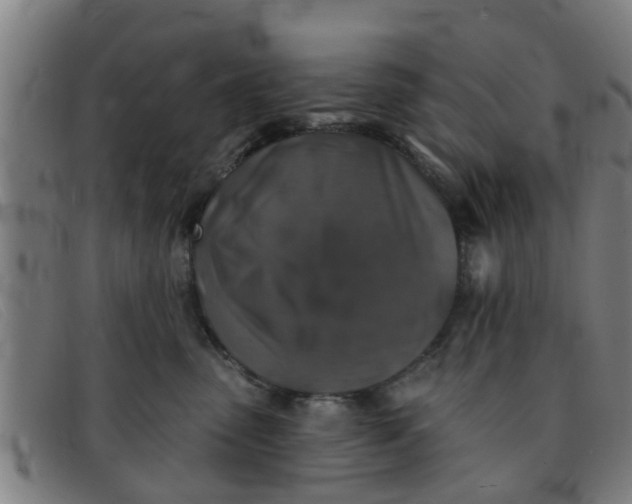 X0000091350475200708311520