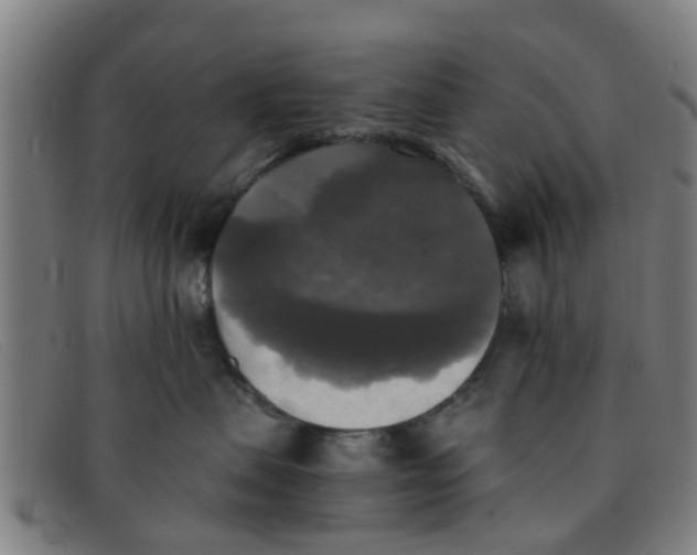 X0000091350479200708311520