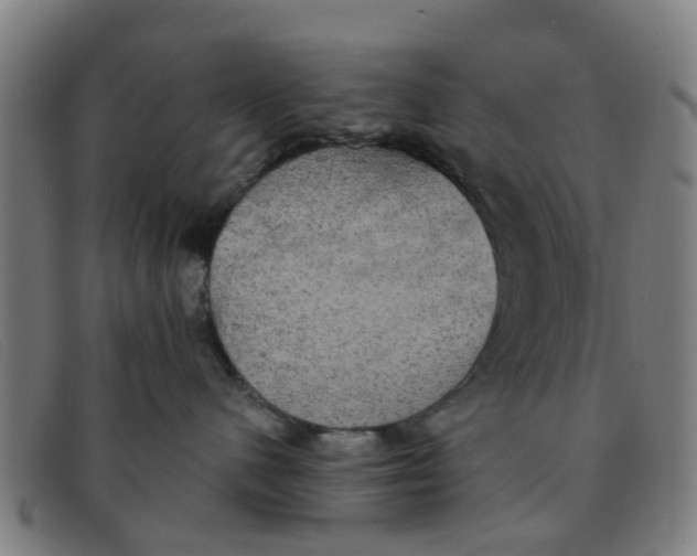 X0000091350480200708311520