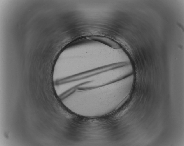 X0000091350481200708311519