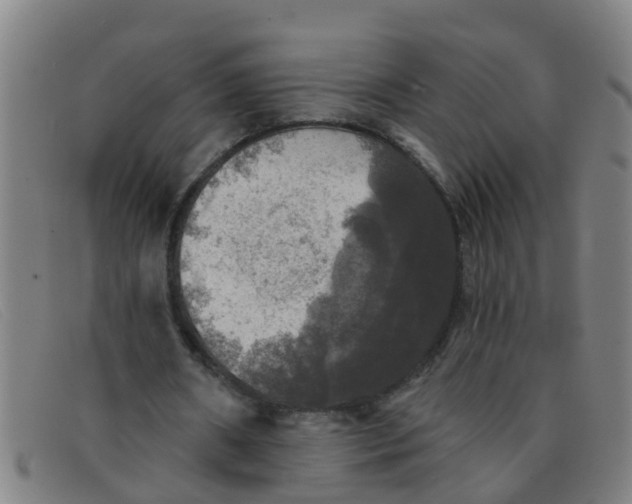 X0000091350482200708311519