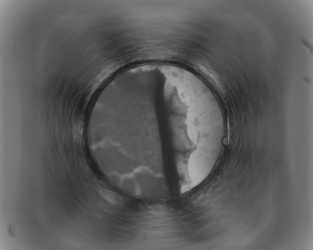 X0000091350483200708311519