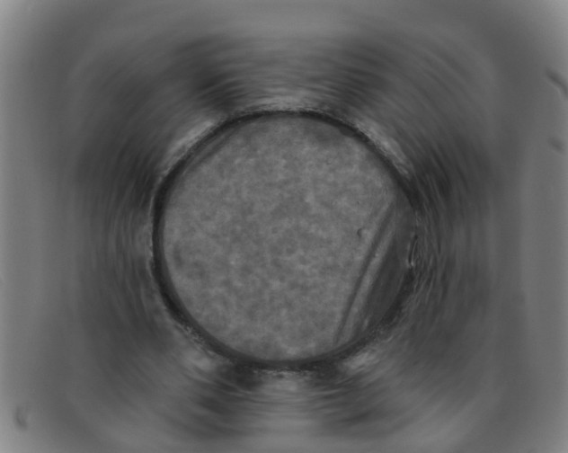 X0000091350486200708311519
