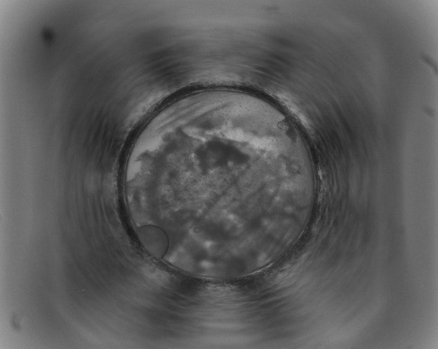 X0000091350487200708311519