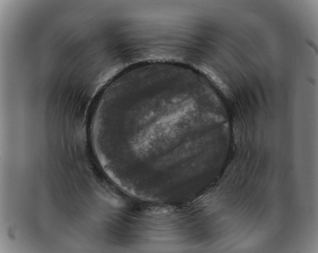 X0000091350488200708311519