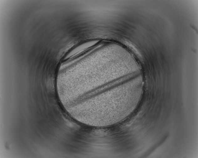 X0000091350489200708311519