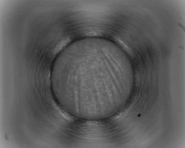 X0000091350490200708311519
