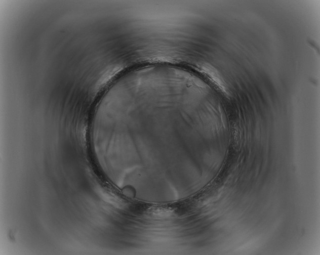 X0000091350491200708311519