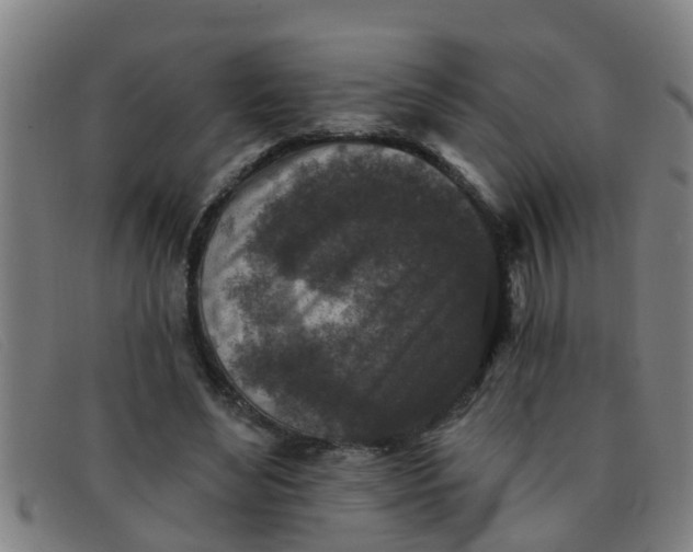X0000091350492200708311519