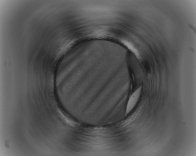 X0000091350493200708311519