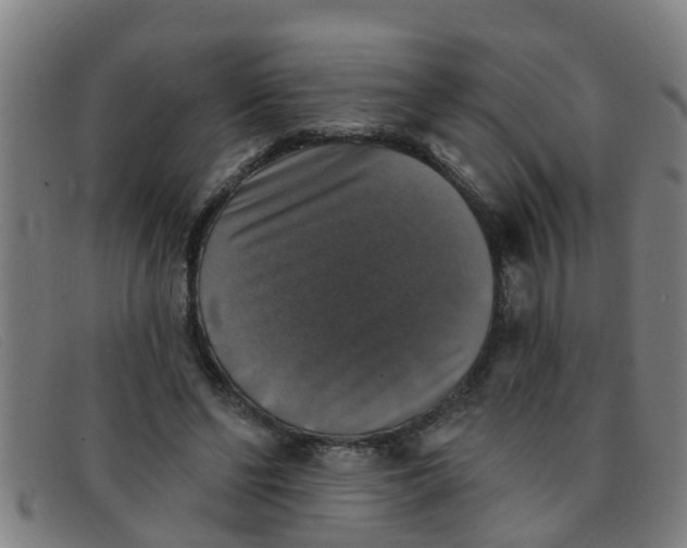 X0000091350494200708311519