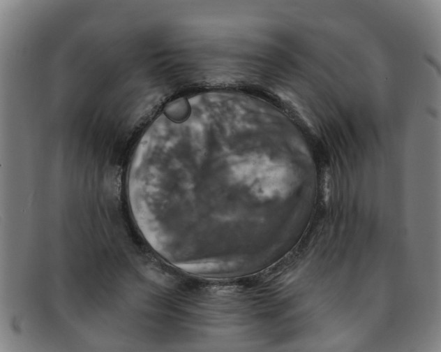 X0000091350495200708311519