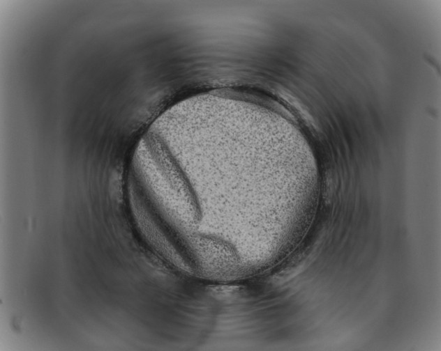 X0000091350497200708311519