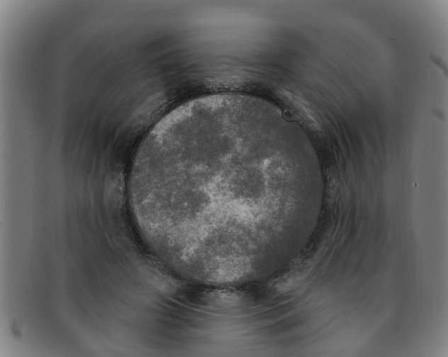X0000091350498200708311519