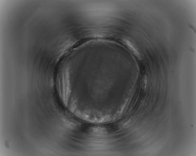 X0000091350500200708311519