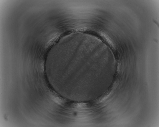 X0000091350501200708311519