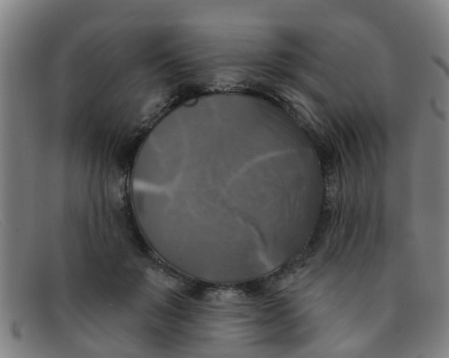 X0000091350503200708311519