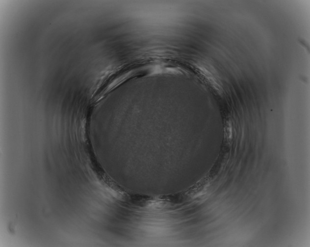 X0000091350504200708311519