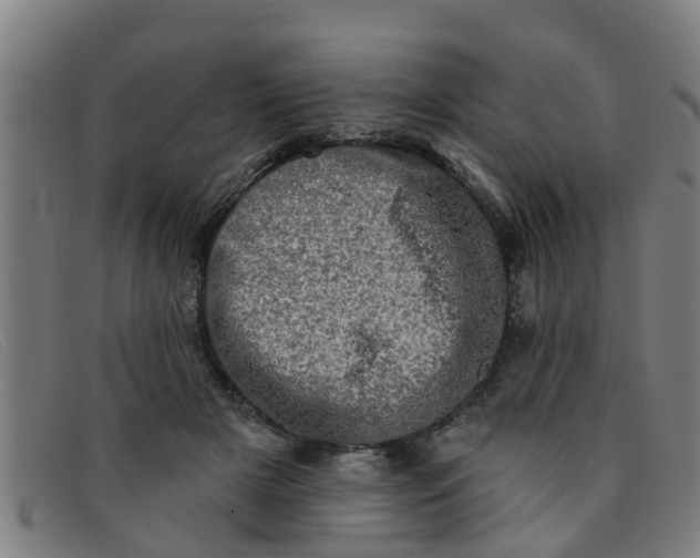 X0000091350505200708311519