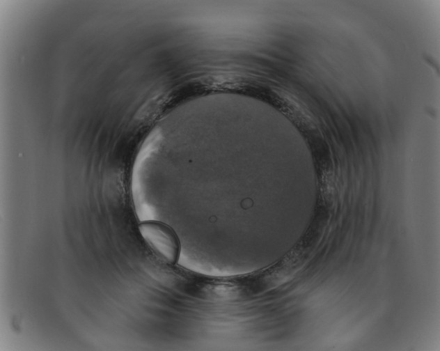 X0000091350506200708311519