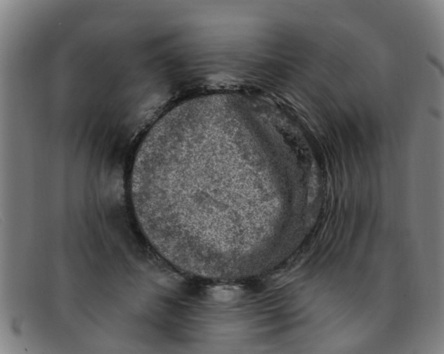 X0000091350508200708311519