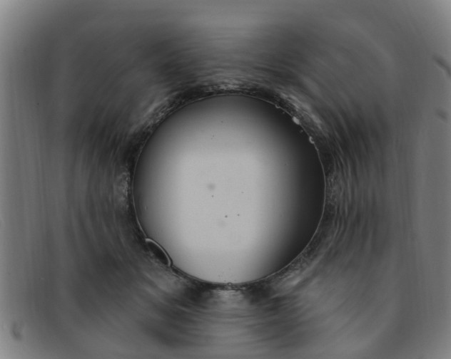 X0000091350509200708311519