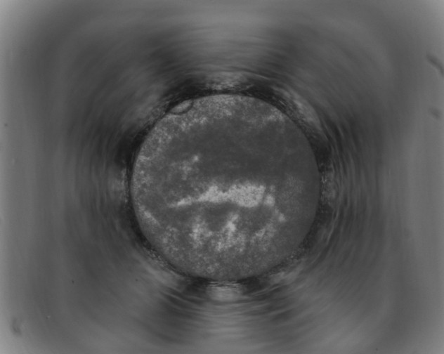 X0000091350510200708311519