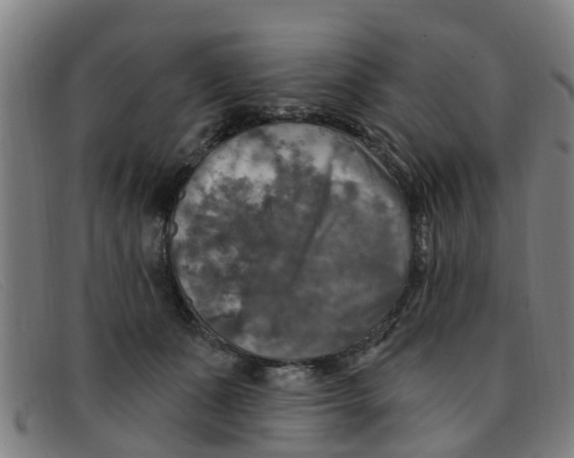 X0000091350511200708311519