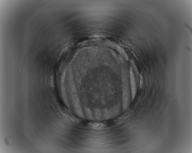 X0000091350512200708311519