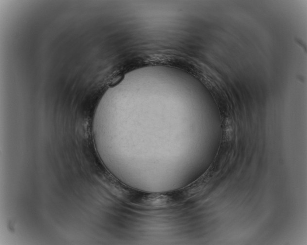 X0000091350514200708311519