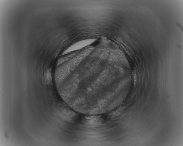 X0000091350516200708311519