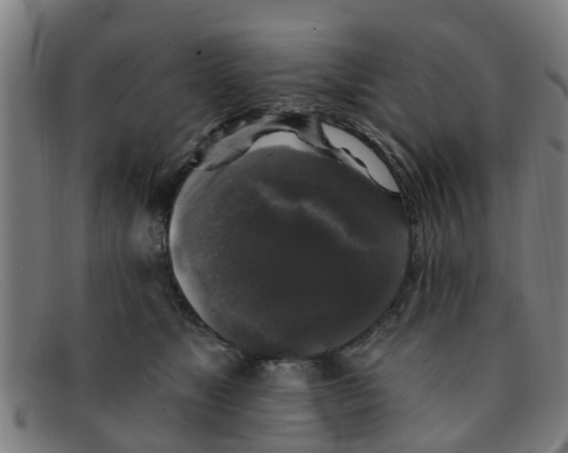 X0000091350517200708311519