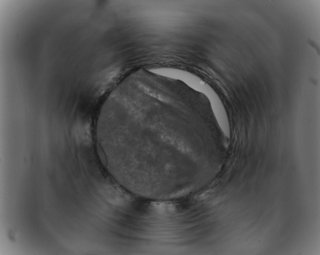 X0000091350520200708311518