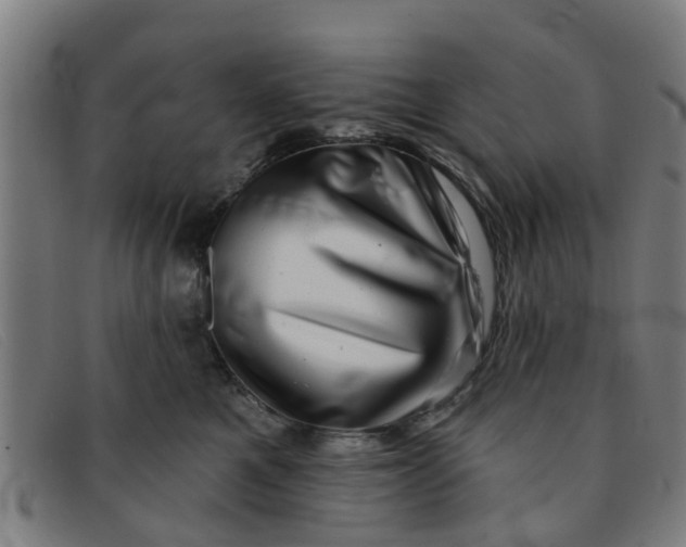 X0000091350521200708311518