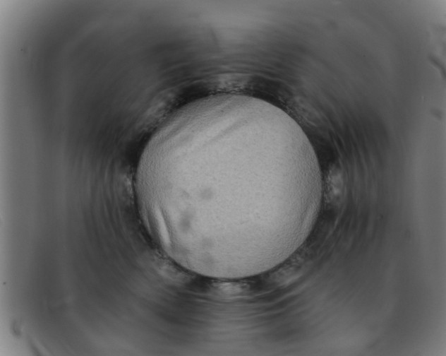 X0000091350522200708311518