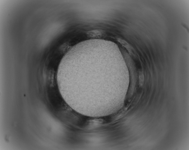 X0000091350525200708311518